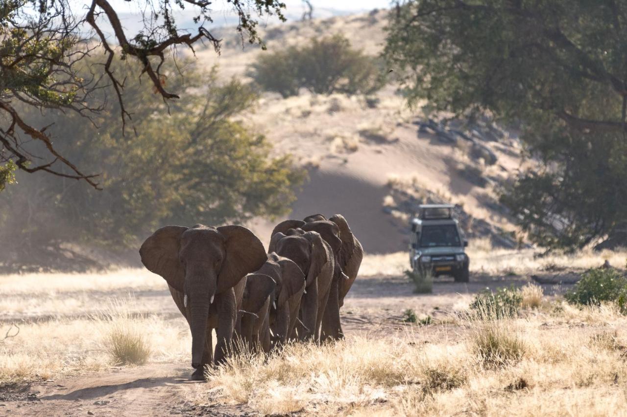 Вилла Wilderness Safaris Damaraland Camp Twyfelfontein Экстерьер фото